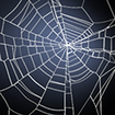 Spin Web