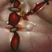 Flesh Heap